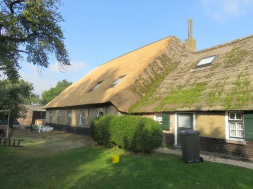 Rieten dak boerderij Bleskensgraaf